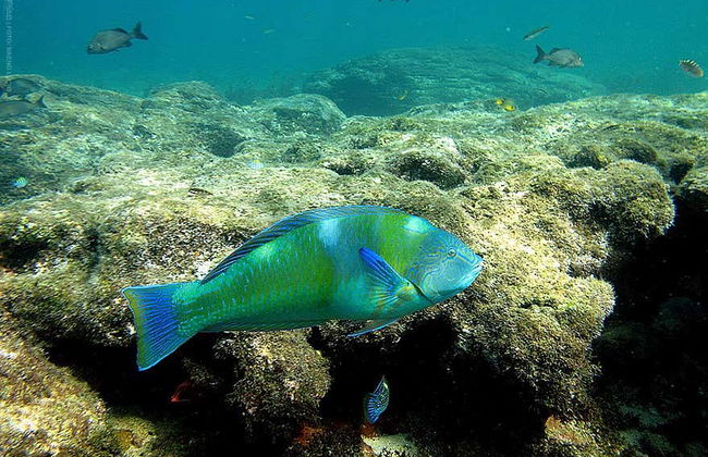 Trekking all'Enseada dos Abreus - Foto 6