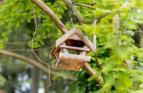 Dom Black&White - Photo 15