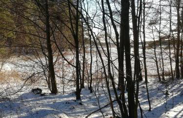 DOMKI w Zaciszu - Foto 56