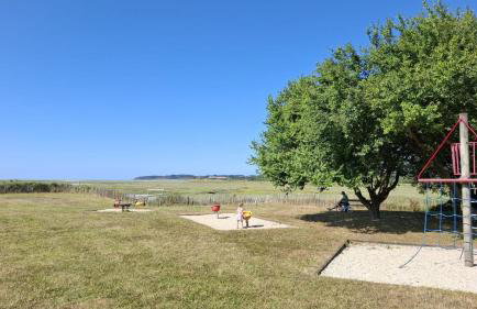 O nid des greves - Foto 40