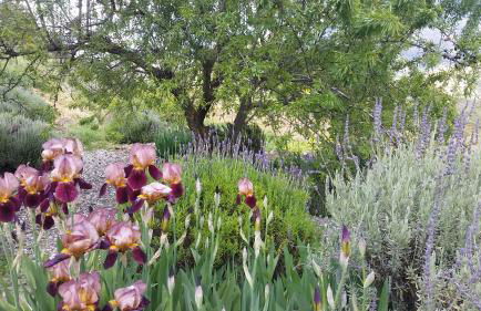 Finca Las Morenas - Foto 55