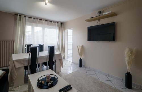 APPARTEMENT ARENA/ GROUPAMA STADIUM/ EUREXPO - Foto 8
