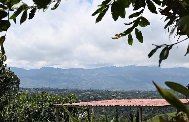 Nalú Hammam Thalassoterapia - Foto 34