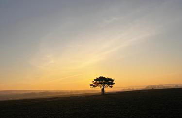 Fachwerkhaus Schwalmblick - Foto 12