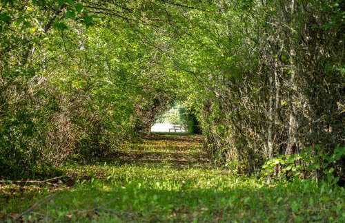 Siedlisko Leszczewek - Foto 75