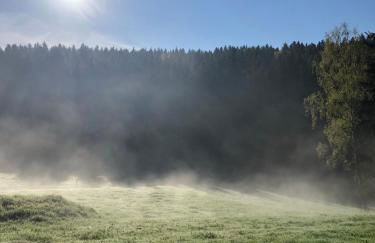 Villa Hainberg - Foto 75