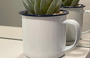 Kuća kod Fajdara - Foto 21