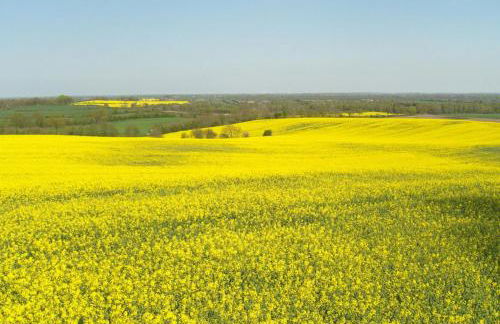 Ferienwohnung Schröder - Photo 20