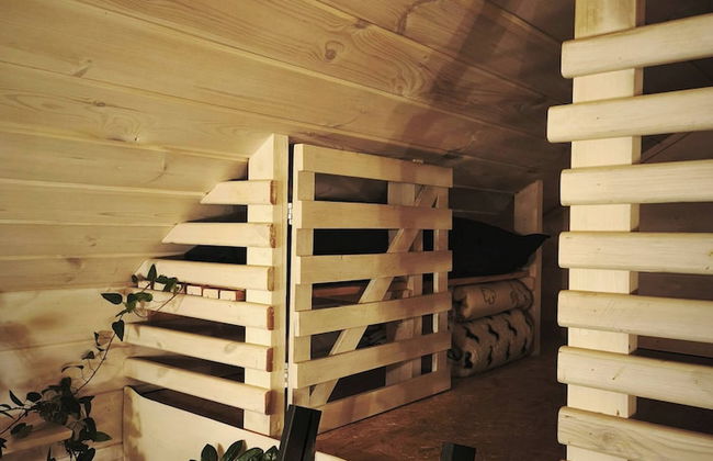 Metai Miške&a Year in the Forest - Photo 11