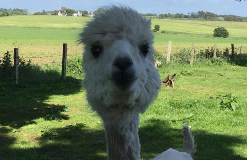 Sandhill House - Photo 8