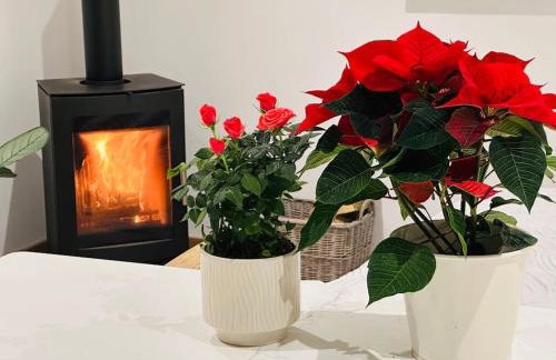 Peacock cottage - Foto 24