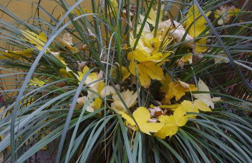 CasaCreativa - Foto 31