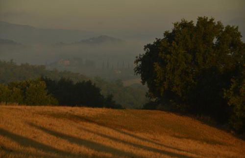 Agriturismo La Casetta del Sole - Photo 43
