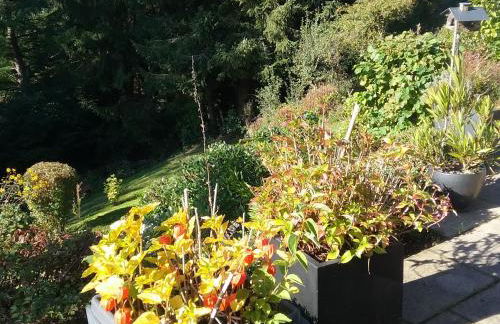 Perlenbachtal - Foto 26