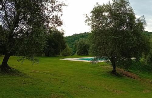 Podere Lucignano Secondo Agriturismo - Foto 46