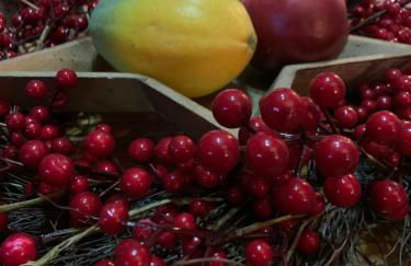 Le Domaine de l’Orangeraie - Foto 6