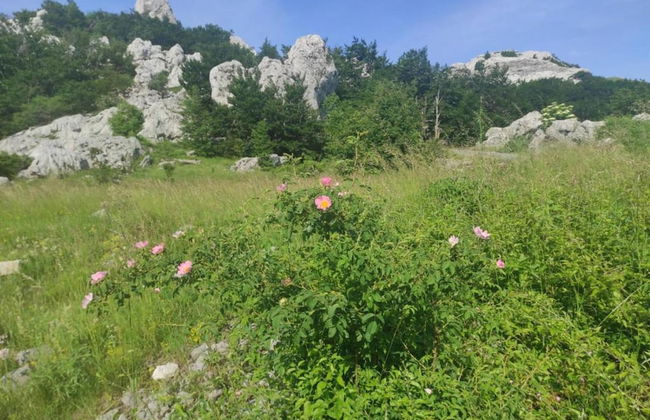 Holiday Home Near Plitvice Lakes - Foto 18