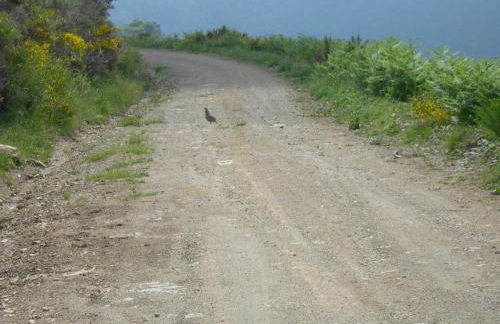 Appartement les rives de l’Ariège - Foto 63