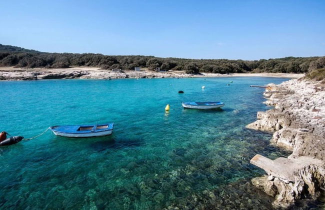 Ideal House for Family - Free Bikes - Pet Friendly - Foto 33