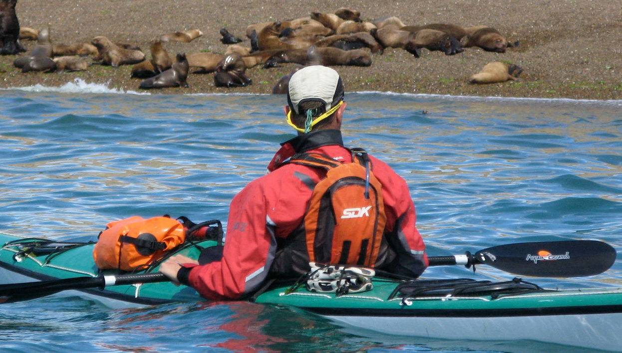 Kayak Tour and Sea Lion Sighting - Photo 1, Kayak Tour and Sea Lion Sighting