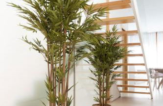 Apartamento Don Algodon Platja - Photo 14