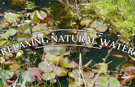 Unplug & Reconnect, Romantic Retreat with Hot Tub - Foto 34