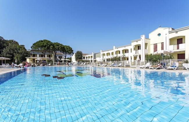 Calycanthus - Foto 1