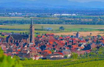 L'Etoile du Vignoble Meublé de Tourisme 4 étoiles au cœur d'un ranch alsacien sur la route des Vins - Climatisé - Foto 38