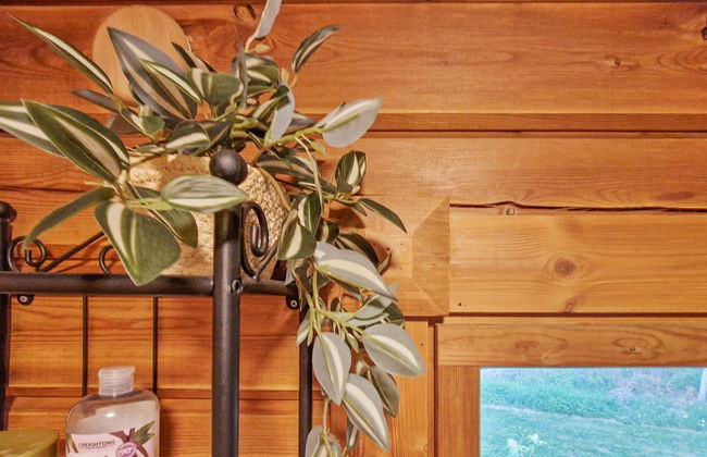 Annas beach - Foto 13