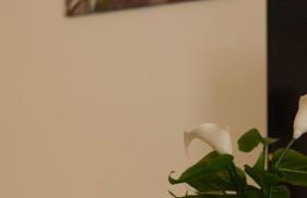 Vimodrone Apartment - Foto 16