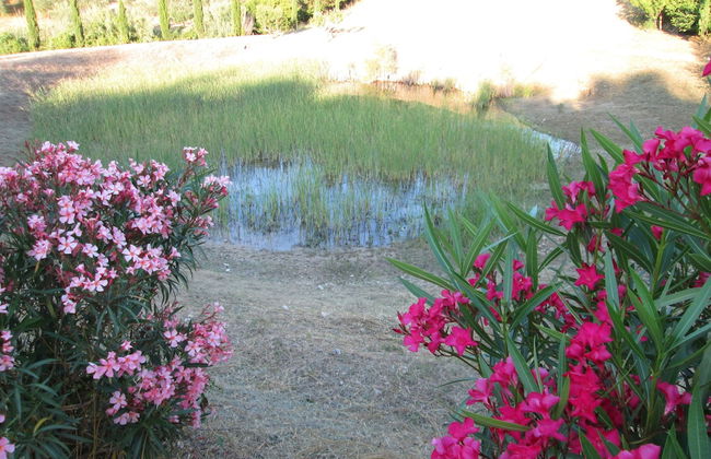 Agriturismo Il Colle - Foto 20