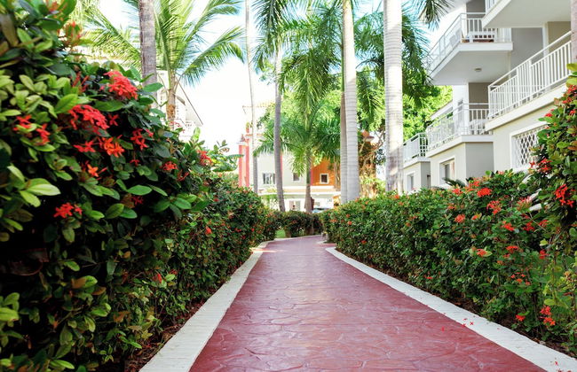 FIESTA SOL CARIBE playa LOS CORALES - Photo 64