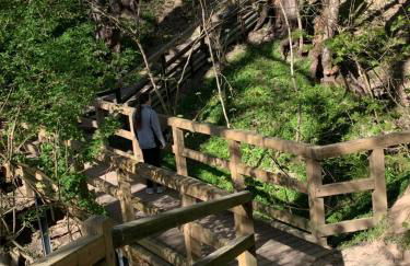 Ferienhaus SüdWest - Foto 30