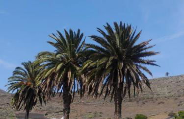 CASA DIANA - Foto 32