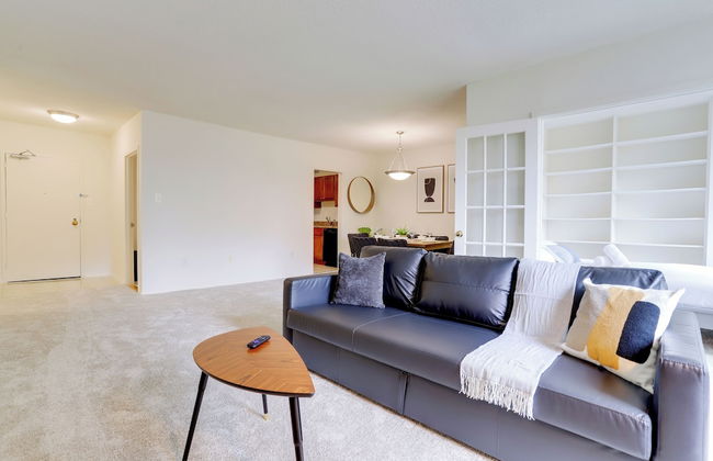 Comfortable Apt in Crystal City - Photo 13