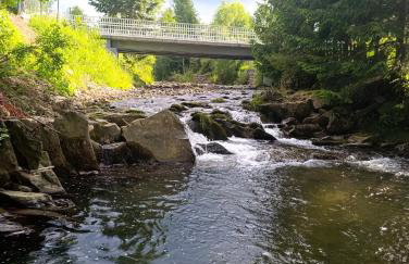 Zawojskie Spanie - Foto 34