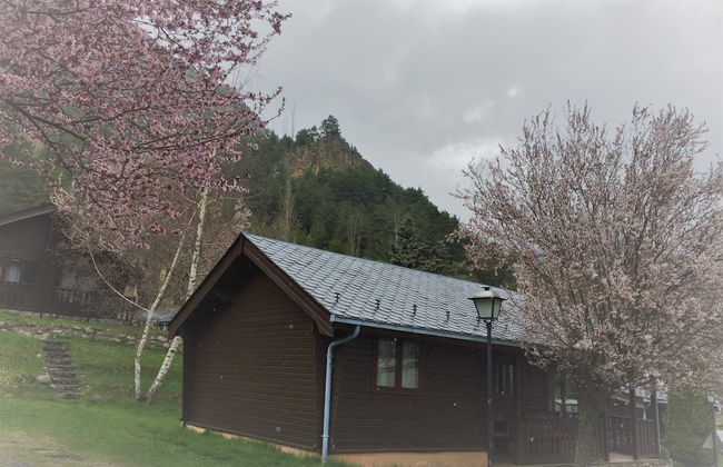 Apartamentos y Bungalows Xixerella Park - Foto 48