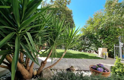 Heritage Apartments Trumbić - Photo 91