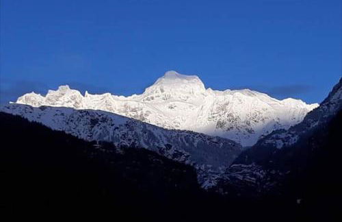 Verde Bosco - Photo 17