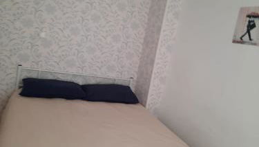 Les Fougères - Bois de Cise - Foto 3