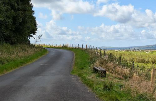 Pet Friendly - Lodge at Riverview Holiday Park - Foto 28