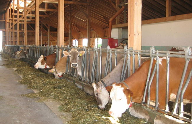 Apartment in Ingenried With Bavarian Alps View - Foto 34