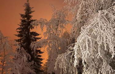 Ma tanière aux 7 Laux - Foto 1