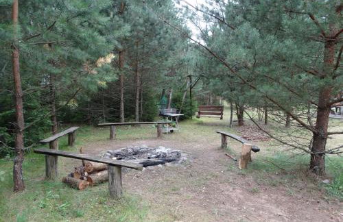 Dworek Telimena - Foto 10