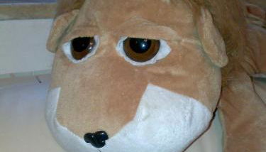 Casa Vacanza la Rondine - Foto 4