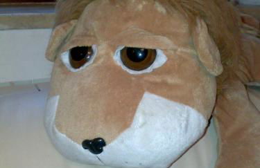 Casa Vacanza la Rondine - Foto 4