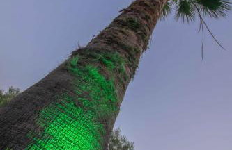 Katerina's Garden Mola Kaliva - Foto 9