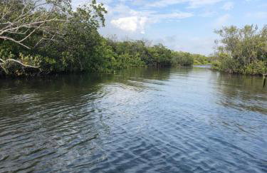 Castaway on Treasure Island NPR - Foto 2