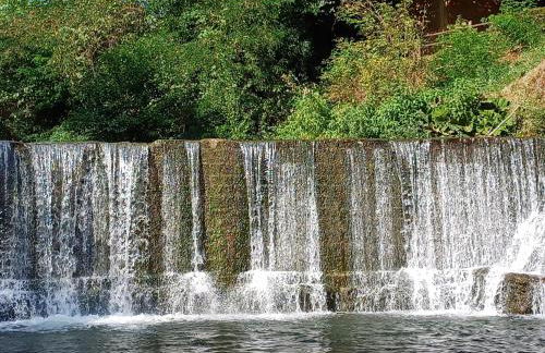 La Casetta di Noah - Foto 35