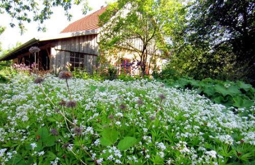 Ferienhaus Apfelhof - Foto 7